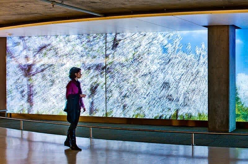 Da-Lite Projector Screen at Starbucks
